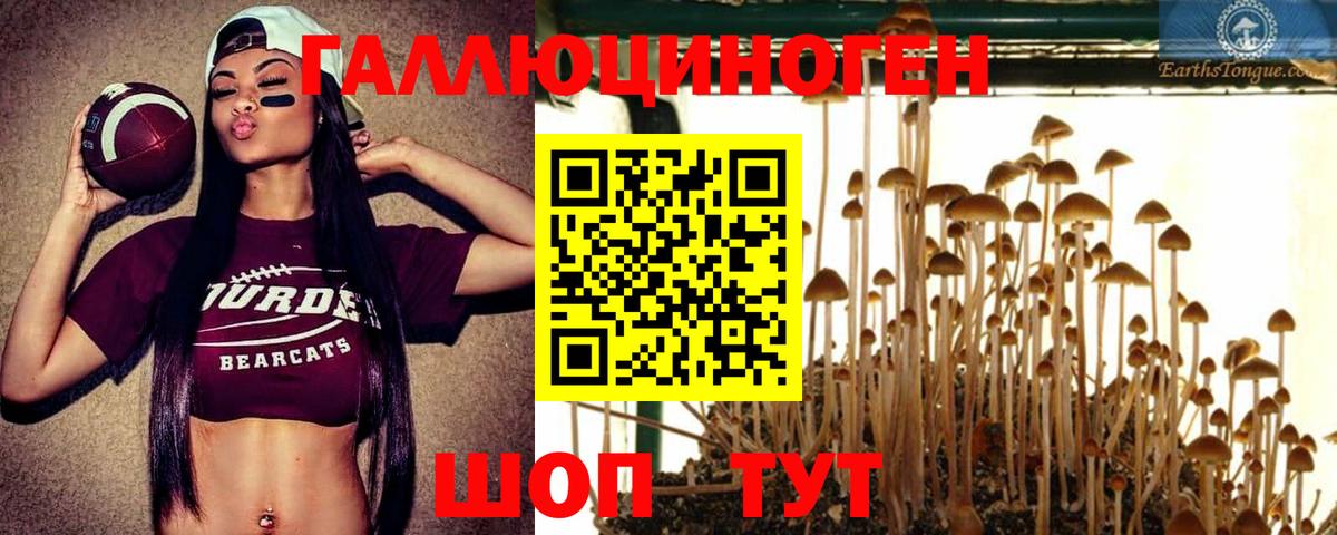 Псилоцибиновые грибы мухоморы Салехард